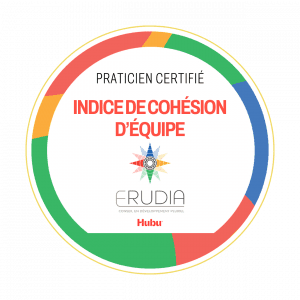 BADGE ICE - FR h